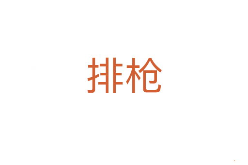 排枪