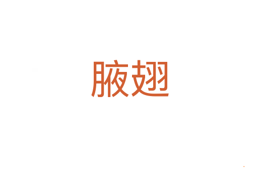 腋翅