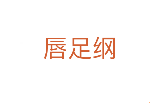 唇足纲