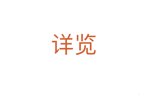 详览
