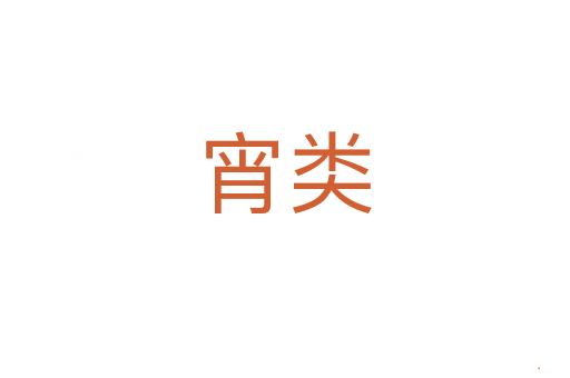 宵类
