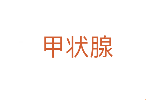 甲状腺