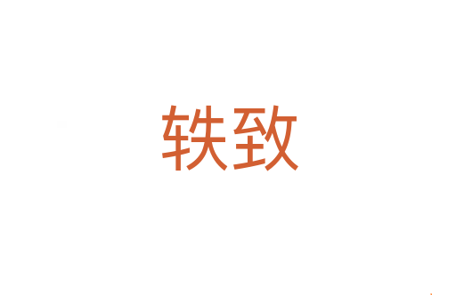 轶致