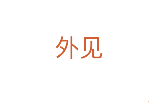 外见