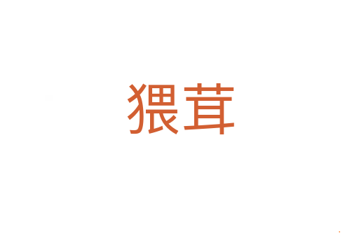 猥茸