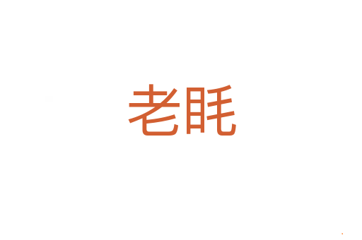 老眊