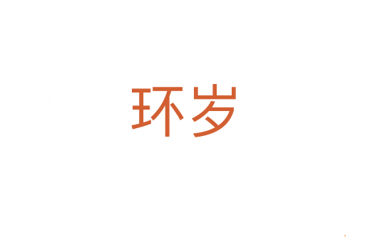 环岁