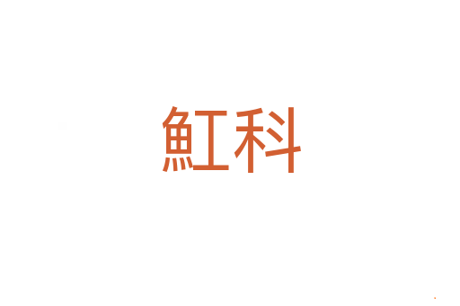 魟科