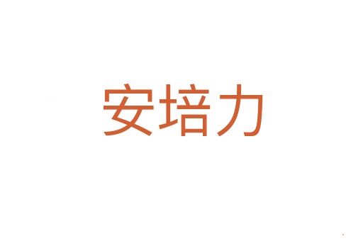 安培力