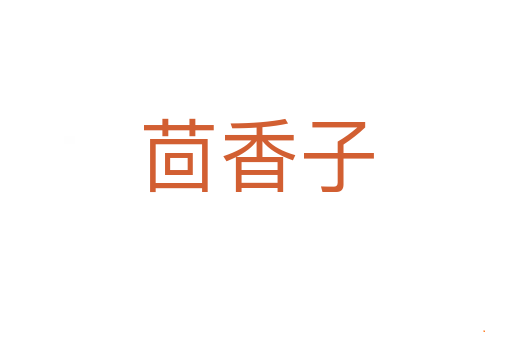 茴香子