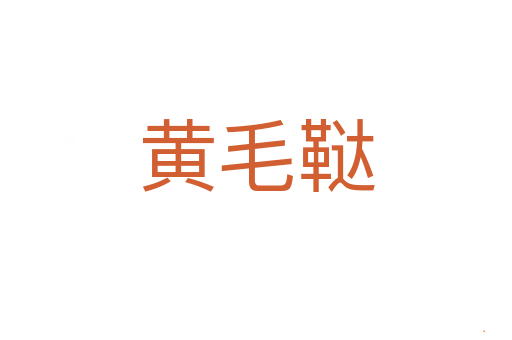 黄毛鞑