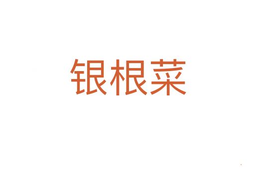 银根菜