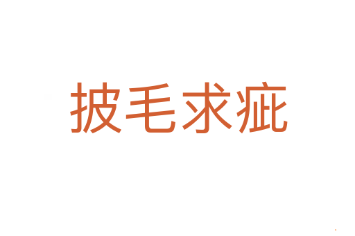 披毛求疵