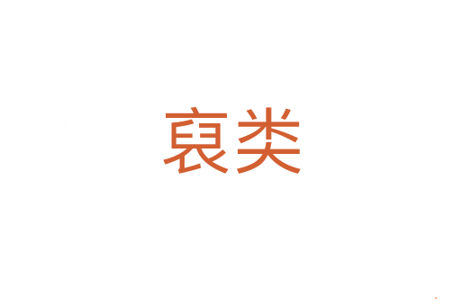 裒类