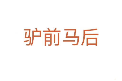 驴前马后