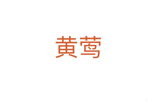 黄莺