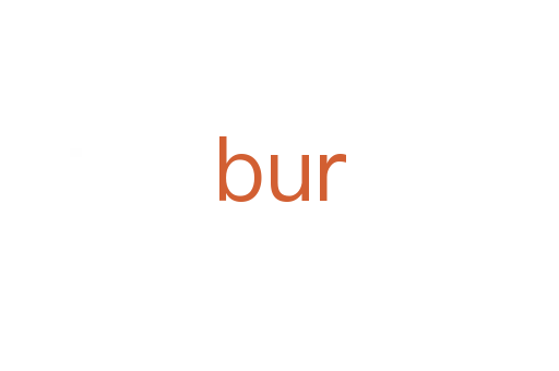 bur